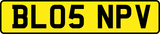 BL05NPV