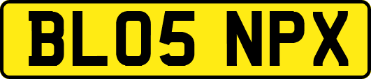 BL05NPX