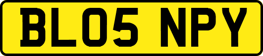 BL05NPY