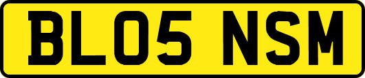 BL05NSM
