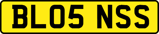 BL05NSS