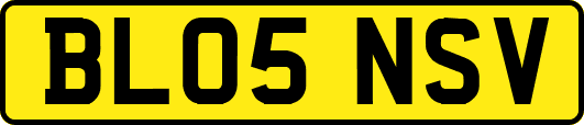 BL05NSV