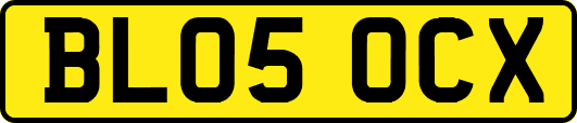 BL05OCX