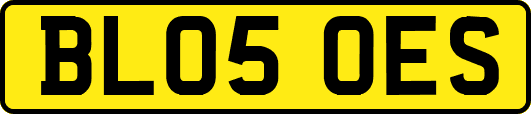BL05OES