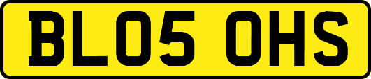 BL05OHS