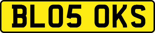 BL05OKS