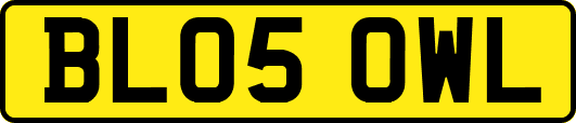 BL05OWL