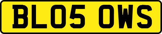BL05OWS