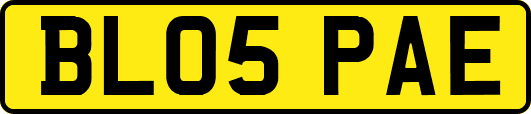 BL05PAE