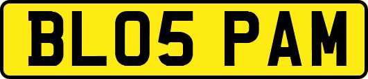 BL05PAM