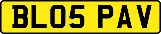 BL05PAV