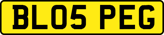 BL05PEG