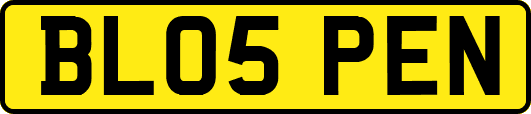 BL05PEN