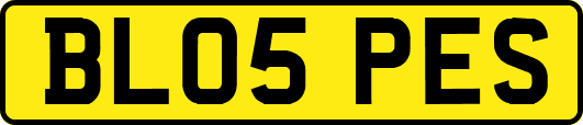 BL05PES