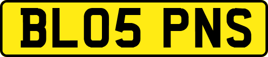 BL05PNS