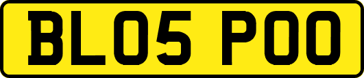 BL05POO