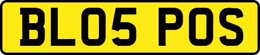 BL05POS