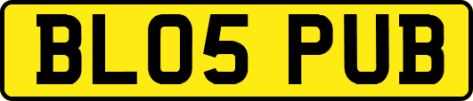 BL05PUB