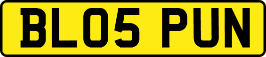 BL05PUN