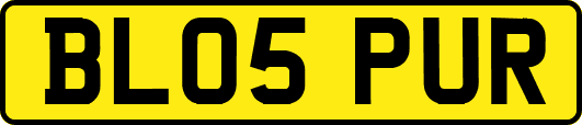 BL05PUR