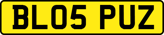 BL05PUZ
