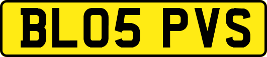 BL05PVS