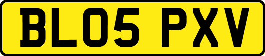BL05PXV