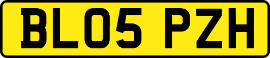 BL05PZH