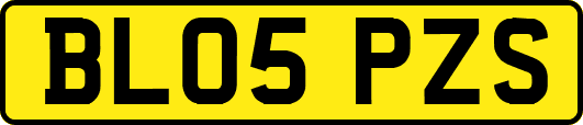 BL05PZS