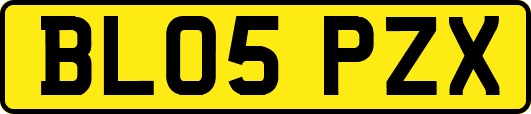 BL05PZX