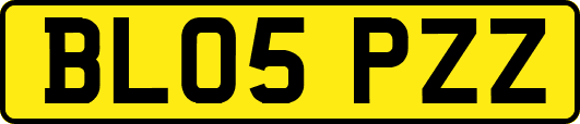 BL05PZZ