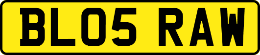 BL05RAW