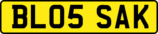 BL05SAK