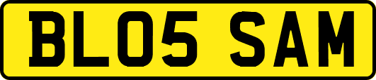 BL05SAM