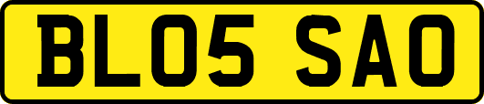BL05SAO