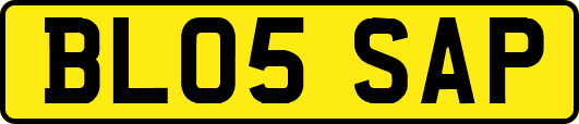 BL05SAP