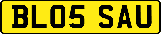 BL05SAU