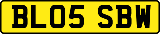 BL05SBW