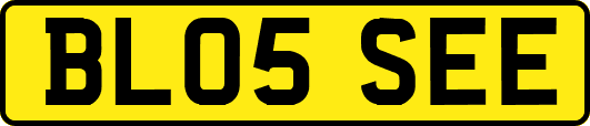 BL05SEE