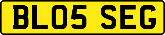BL05SEG