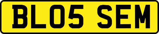 BL05SEM