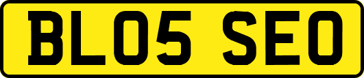 BL05SEO