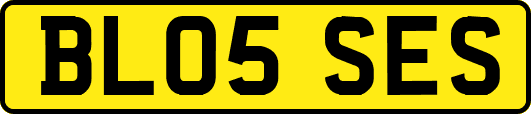 BL05SES