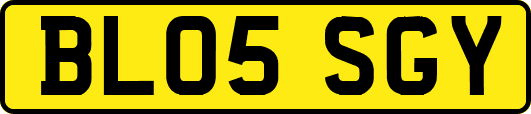 BL05SGY