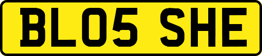 BL05SHE