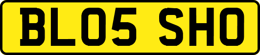 BL05SHO