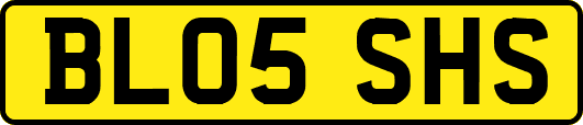 BL05SHS