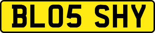 BL05SHY