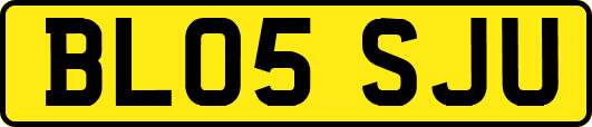 BL05SJU