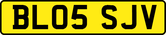 BL05SJV